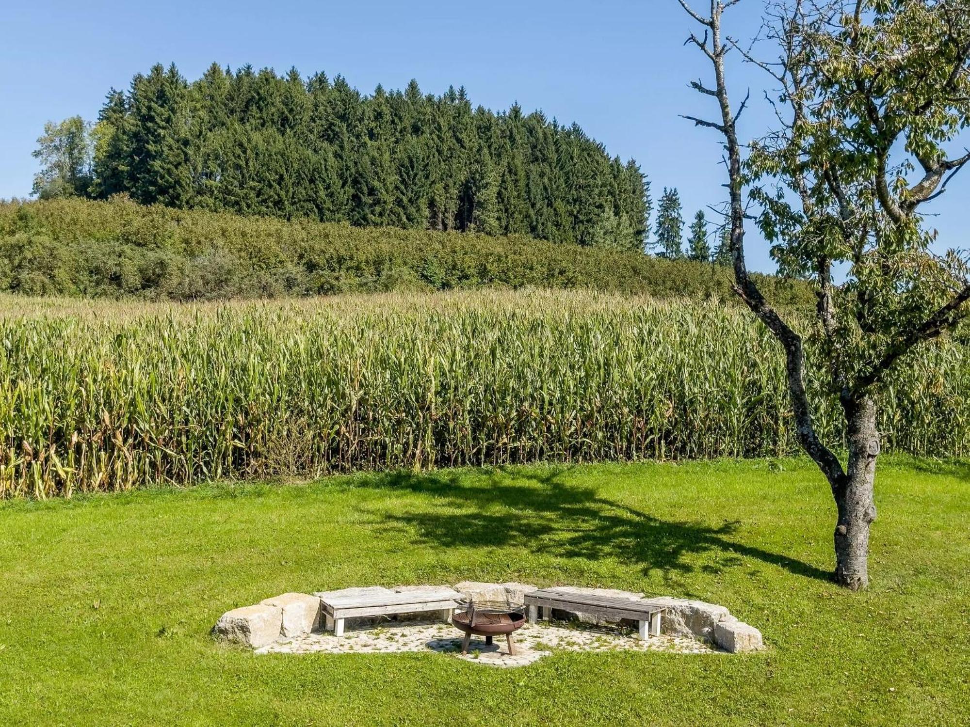 Apartment Buchmann Deggenhausertal